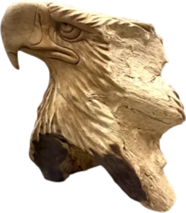 Adelaarskop teak, 55 cm