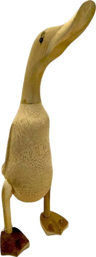 Eend bamboe, 38 cm