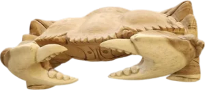 Krab suar, 40 cm